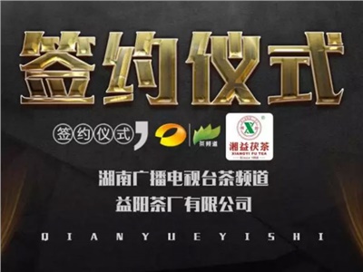 湘益茯，美茗揚(yáng) 丨湘益茯茶與茶頻道達(dá)成長(zhǎng)期戰(zhàn)略合作